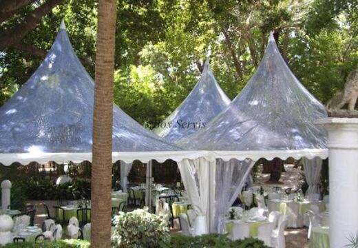 Carpas Transparentes — foto 3