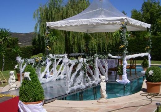 Carpas Transparentes — foto 5