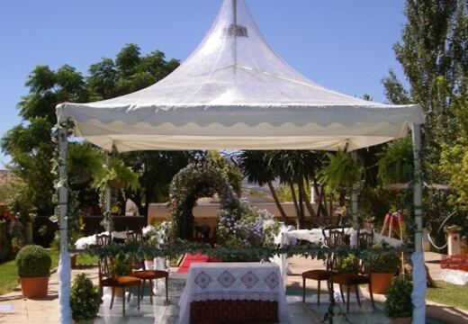 Carpas Transparentes — foto 12