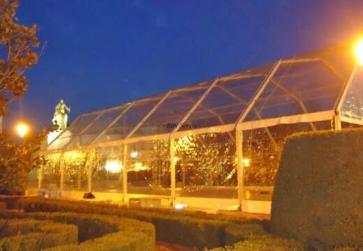 Carpas Transparentes — foto 19