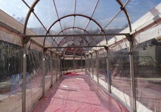 Carpas Transparentes — foto 20