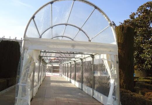 Carpas Transparentes — foto 22