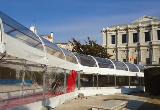 Carpas Transparentes — foto 25