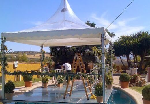Carpas Transparentes — foto 34